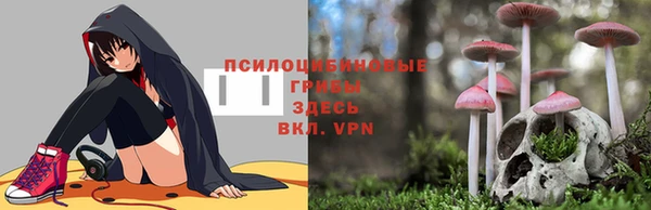 Альфа ПВП Богданович