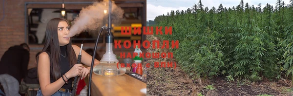 PSILOCYBIN Богородск