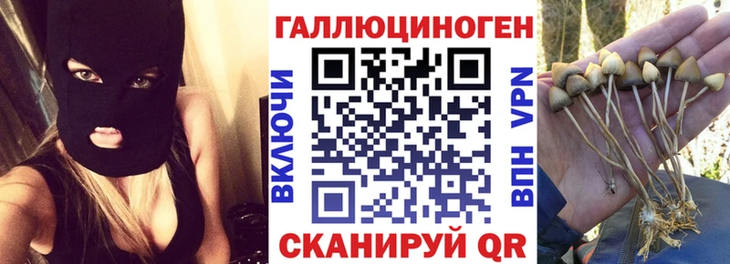 Галлюциногенные грибы ЛСД  Колпашево 